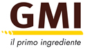 GMI